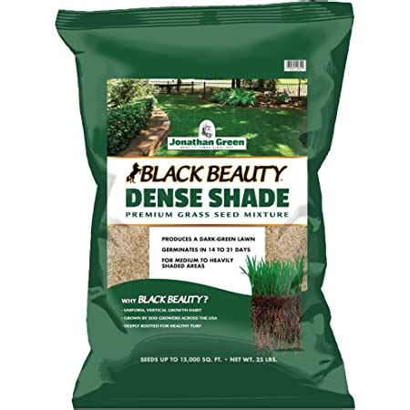 Amazon Com Jonathan Green Black Beauty Sun Shade Grass Seed Cool Season Lawn Seed