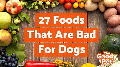 The 27 Worst Foods That Are Bad For Dogs Sunshine Bernese