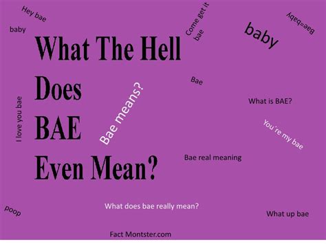 1727, ground for training horses, from french terrain piece of earth, ground, land, from old french (12c.), from vulgar latin *terranum, from latin terrenum land. What Does Bae Mean? What Is Bae?