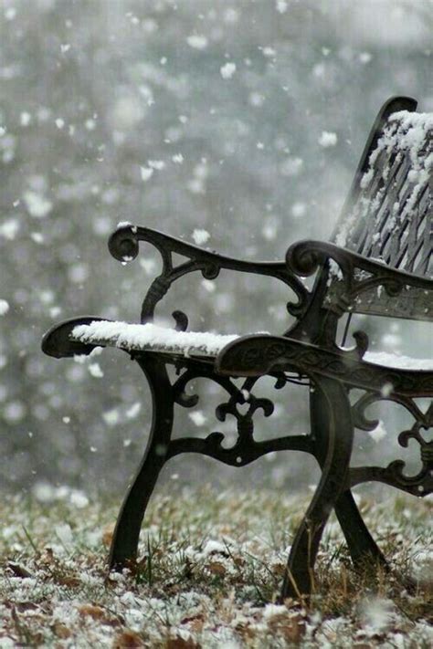 A Park Bench Covered In Snow Sitting On Top Of A Grass Covered Field