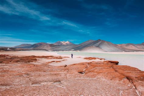 Fabulous Tour In The Atacama Desert Travel Coach Chile