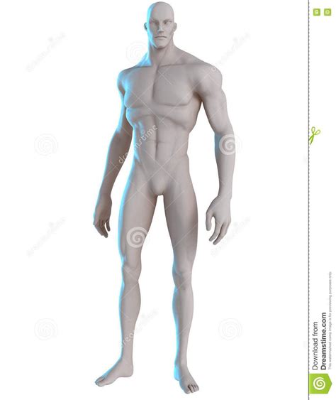D Male Hero Pose Reference Go Boldly Stock Image Illustration Of