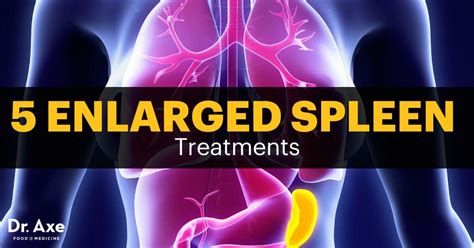 Enlarged Spleen Symptoms Warning Signs 5 Treatments Kidney Detox
