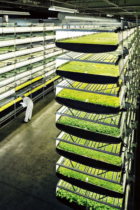 Inside The Worlds Largest Vertical Farm Vertical Farming Urban