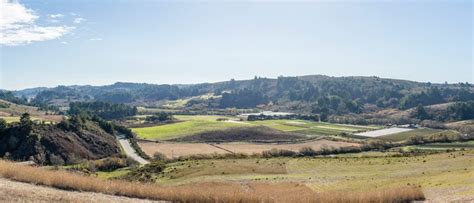 A Total Makeover With Blue House Farm San Mateo County