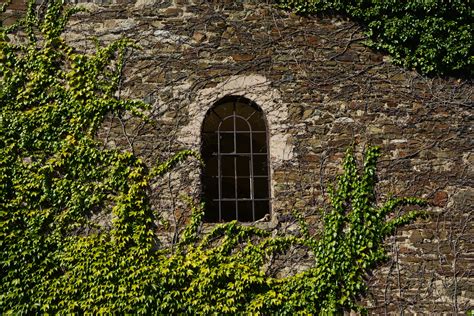 Free Images Rock Structure Vine Window Old Rustic Overgrown