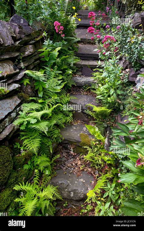 Steps Garden Hi Res Stock Photography And Images Alamy