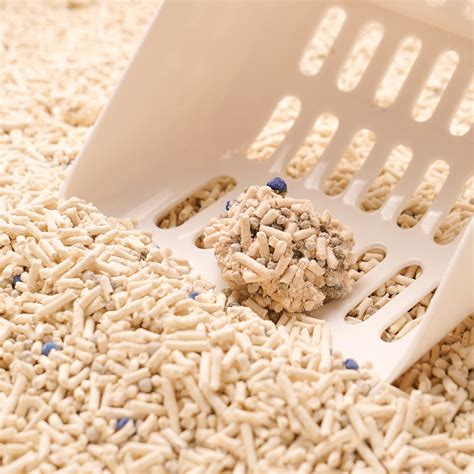 They may play in it or even ingest it, and that can be dangerous if the litter contains harmful chemicals, as many types of cat litter do. Composite cat litter Mineral tofu type - pidan