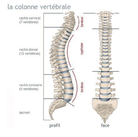 L Hernie Discale Centre