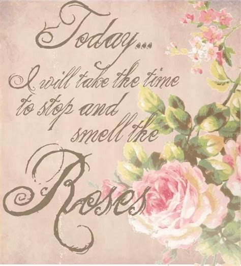 Stop And Smell The Roses Quotes Quotesgram