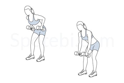 Dumbbell Bent Over Row Illustrated Exercise Guide