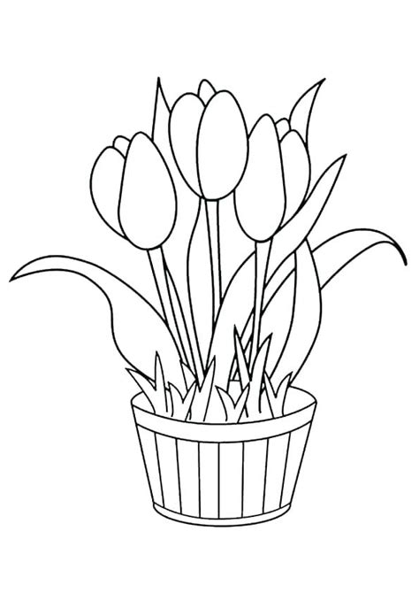 Click on flower coloring pictures below for the printable flower coloring page. Flower Pot Coloring Pages - Best Coloring Pages For Kids