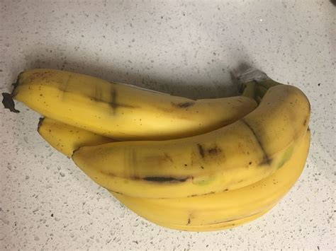 Bruised Bananas Blank Template Imgflip