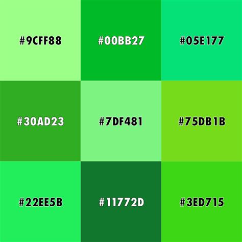 Shades Of Green Paint Color Chart