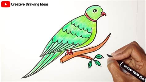How To Draw A Parrot Step By Step Easy Beautiful Parrot Drawing For