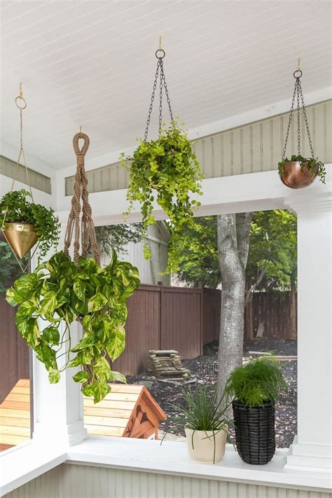 How To Hang Outdoor Plants