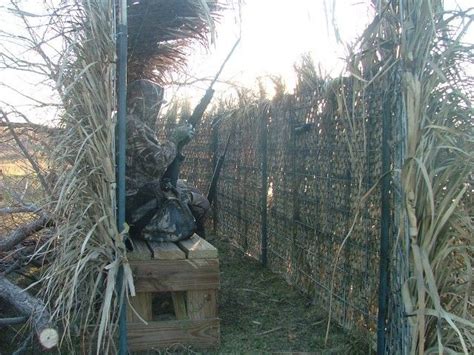 Cattle Panel Duck Blind Duck Hunting Blinds Duck