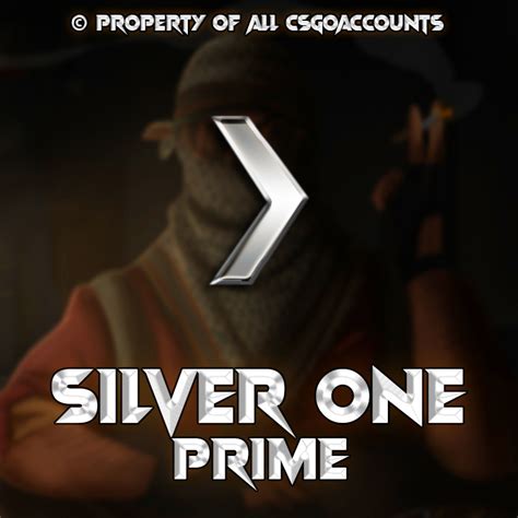Account Bundle 5silver 1 2 Prime Instant Delivery All Csgo Accounts
