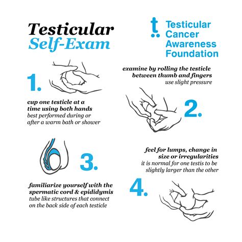 How To Ask Your Doctor For A Testicular Exam