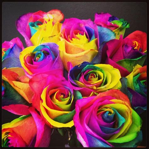 Rainbow Roses My Absolute Favorite Flowers Because Even When They Dry