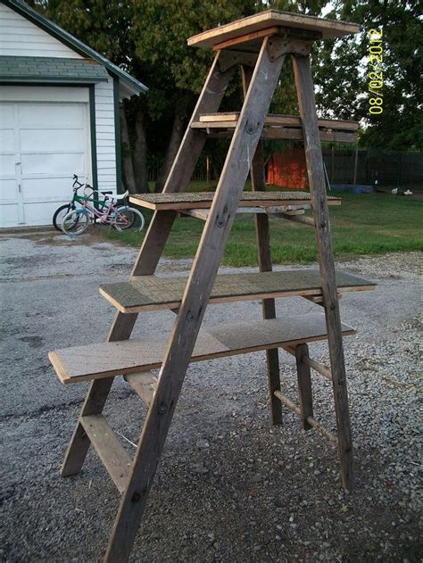 Recycled Ladder Cat Tree We Wanted A Cat Tree But There Was No Way We