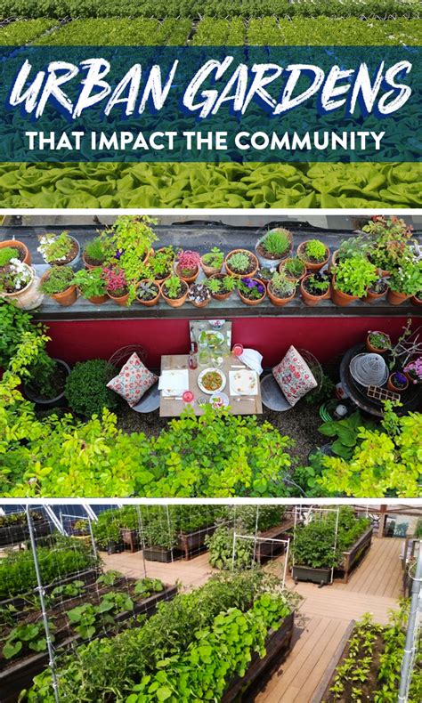 6 Inspiring Urban Gardens That Impact The Community