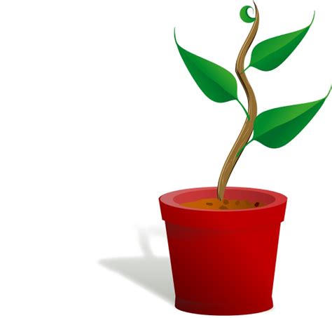 Plant Png Images Transparent Free Download