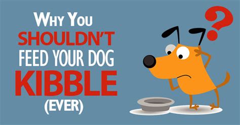 To make the search easier for you, we are here to provide ample information about the best kibble dog food in we are here to provide ample information regarding the best kibble dog food out there. Kibble: Why It's Not A Good Option For Your Dog - Dogs ...