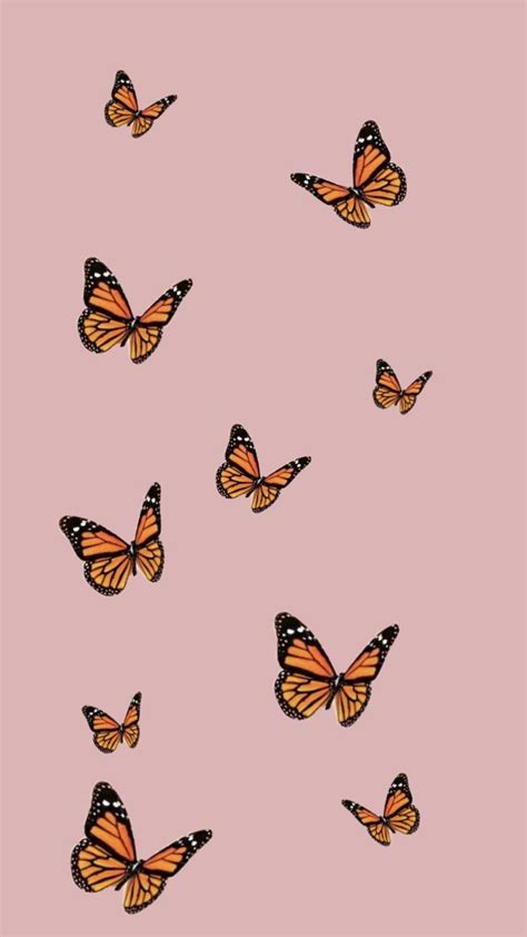 52 Aesthetic Pictures Pink Butterfly Iwannafile