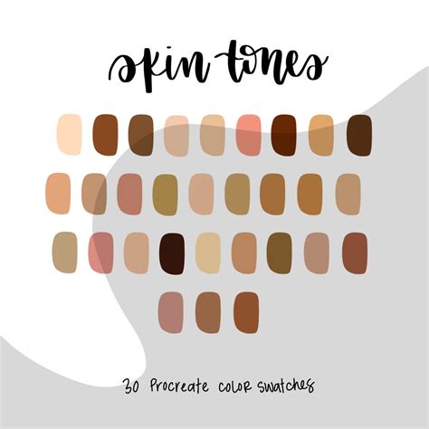 Skin Tones Color Palette Procreate Palette Color Swatch Colors For