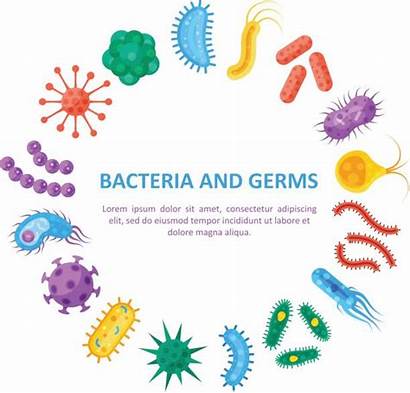 Pathogen Clipart Immune System Germs Clip Bacteria