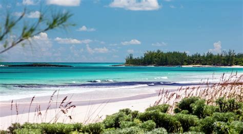 The 10 Best Pink Sand Beaches In The Caribbean Caribbean Real Estate