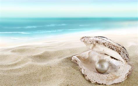 Desktop Wallpapers Pearl Beach Sea Nature Sand Shells 3840x2400
