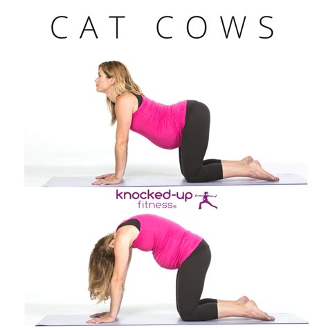 Cat And Cow Pose Yoga Pregnancy 21 Safe Abdominal Exercises During