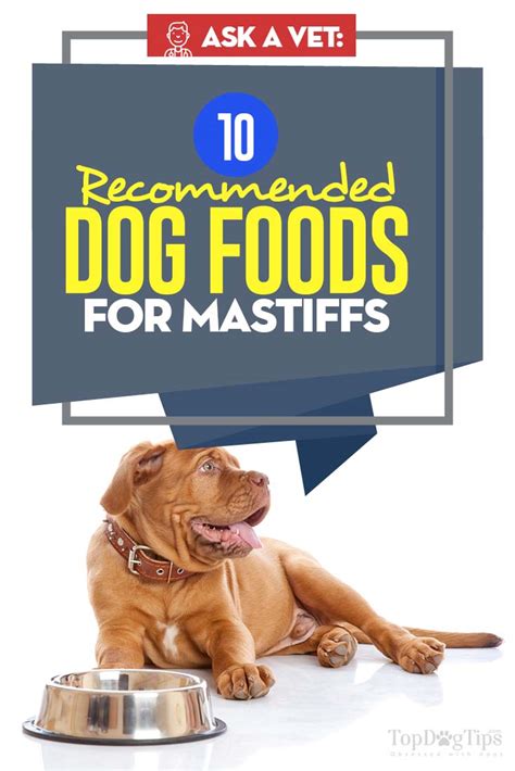 The best rated dog food for puppies on the market (all reviews) we've done the hard part and scoured the shelves to list the 20 top reviewed products. Best Dog Food for Mastiffs: 10 Vet Recommended Brands (2018)