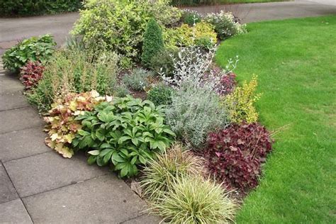 Plants For Small Garden Borders Harrisoncoventry