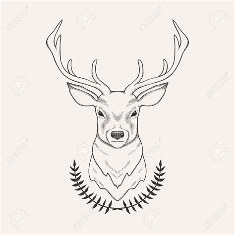 Deer Head Outline Drawing At Explore Collection Of