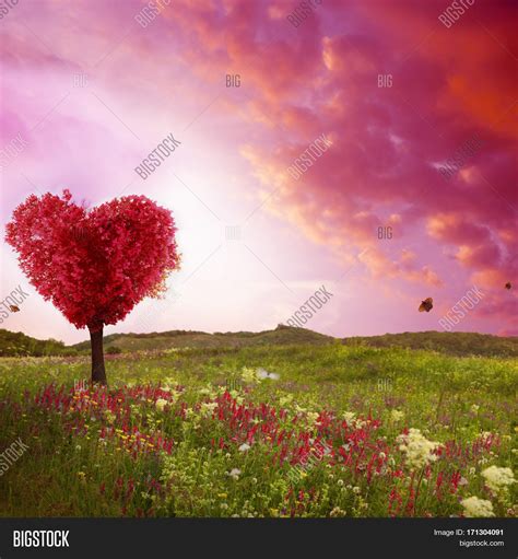 Tree Love Spring Red Image And Photo Free Trial Bigstock