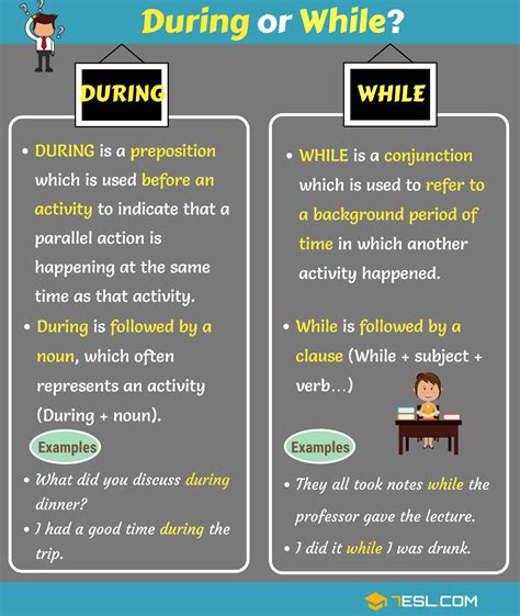 During vs While | Difference Between During and While - 7 E S L