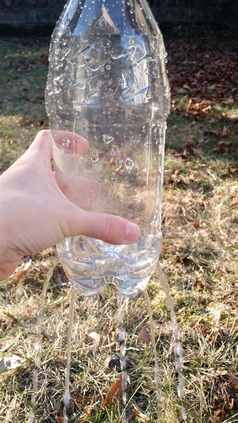 Diy Slow Release Watering Making A Plastic Bottle Irrigator For Plants
