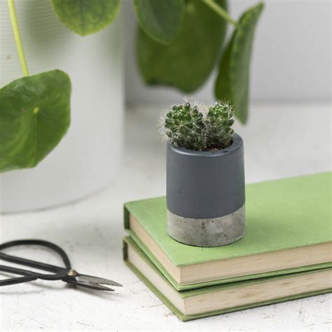 See more ideas about concrete planters, concrete diy, planters. Coloured Concrete Planter By Bells And Whistles Make | notonthehighstreet.com