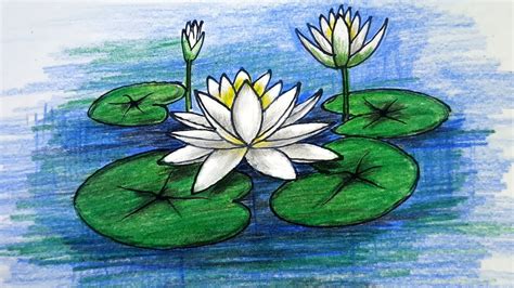 How To Draw Water Lily National Flower Of Bangladesh Step By Step