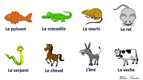 Animales En FrancÉs Youtube
