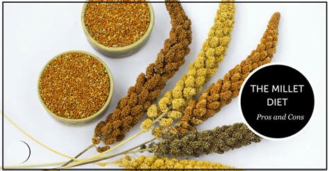 What Is Millet Nutrition And Benefits Giwa