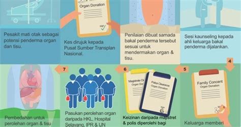 B) dalam pemindahan jantung, kematian penderma mestilah dipastikan. Hukum Derma Organ Dari Orang Bukan Islam
