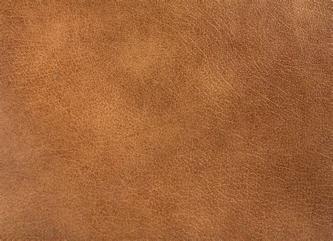 Leather Stock Photos Pictures And Royalty Free Images Istock