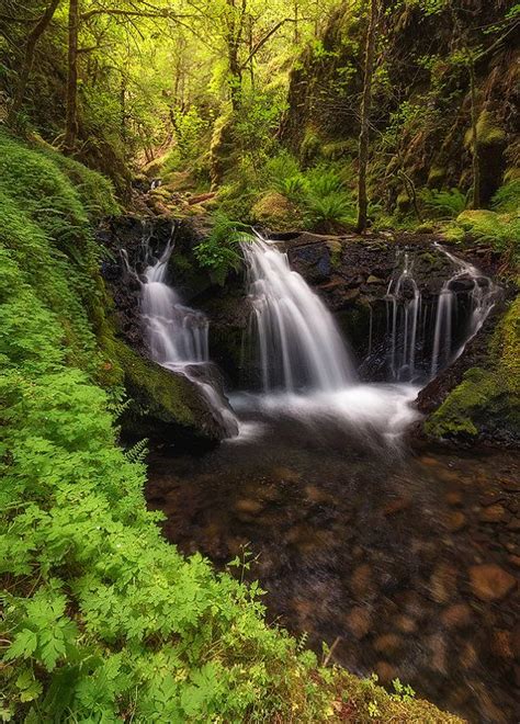 Emerald Falls Waterfall Columbia River Gorge Forest Oregon Pacific