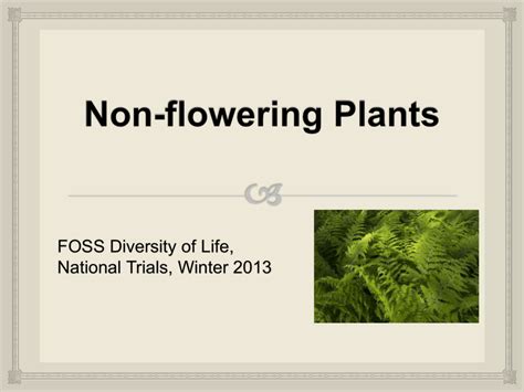 Non Flowering Plants Slideshow