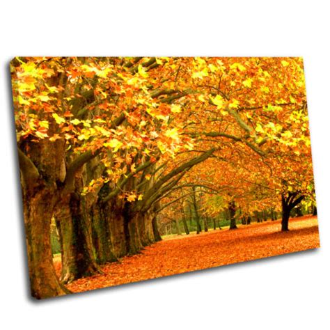 Autumn Trees Landscape Canvas Wall Art Print Picture Premium 003 Ebay