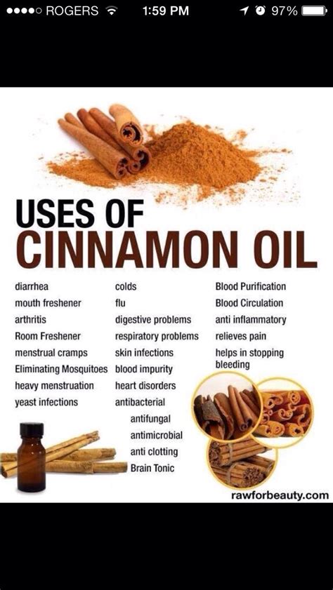 Uses Of Cinnamon Oil Musely